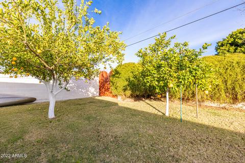 906 W 10th Pl, Mesa, AZ 85201 photo 29