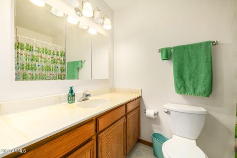906 W 10th Pl, Mesa, AZ 85201 photo 22