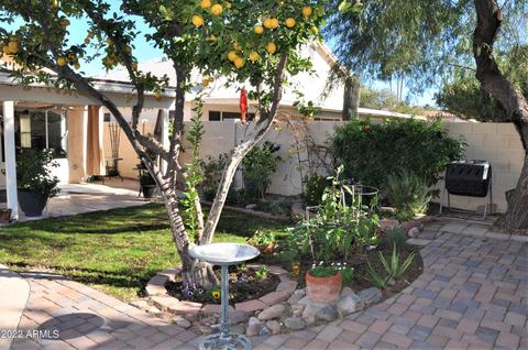 3537 E Kerry Ln, Phoenix, AZ 85050 photo 6