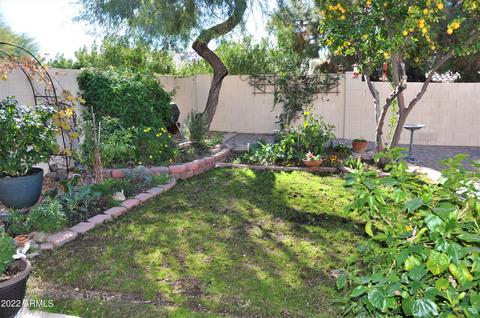 3537 E Kerry Ln, Phoenix, AZ 85050 photo 23