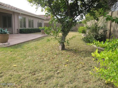 494 W Johnson Dr, Gilbert, AZ 85233 photo 49