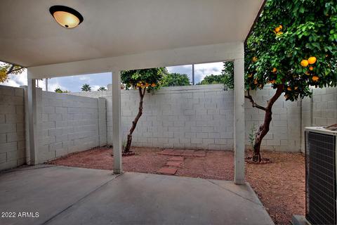 1115 W Mango Dr, Gilbert, AZ 85233 photo 27