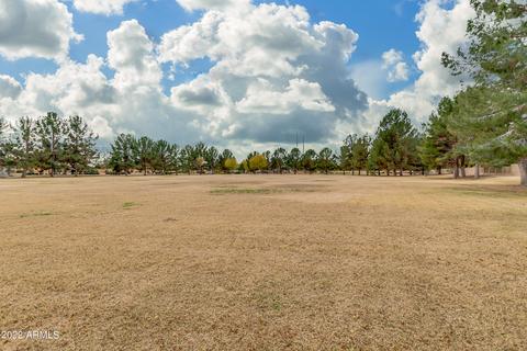 2055 E Palomino Dr, Gilbert, AZ 85296 photo 40