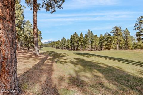 4210 S Lariat Loop, Flagstaff, AZ 86005 photo 49