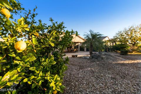 4255 E Ficus Way, Gilbert, AZ 85298 photo 28