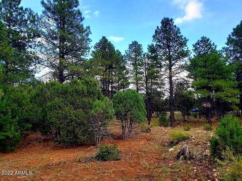 2974 Lookout Ln #287, Overgaard, AZ 85933