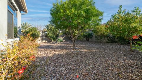 2517 E Villa Park St, Gilbert, AZ 85298 photo 25