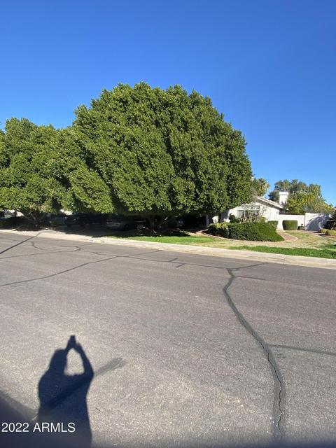 4260 Encanto St, Mesa, AZ 85205 photo 1