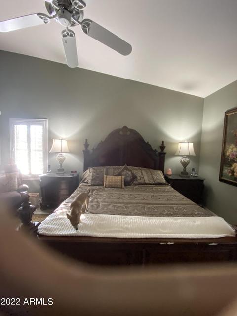 4260 Encanto St, Mesa, AZ 85205 photo 89