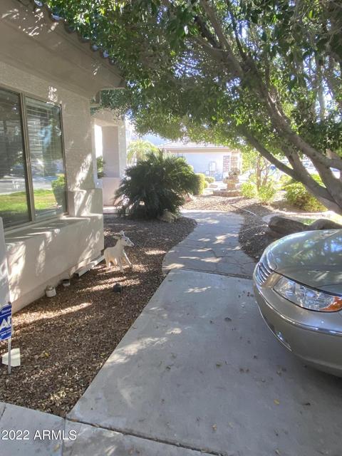 4260 Encanto St, Mesa, AZ 85205 photo 88