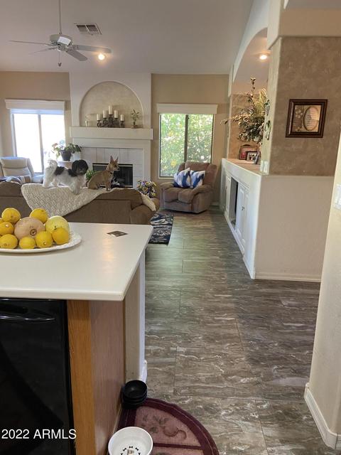 4260 Encanto St, Mesa, AZ 85205 photo 22