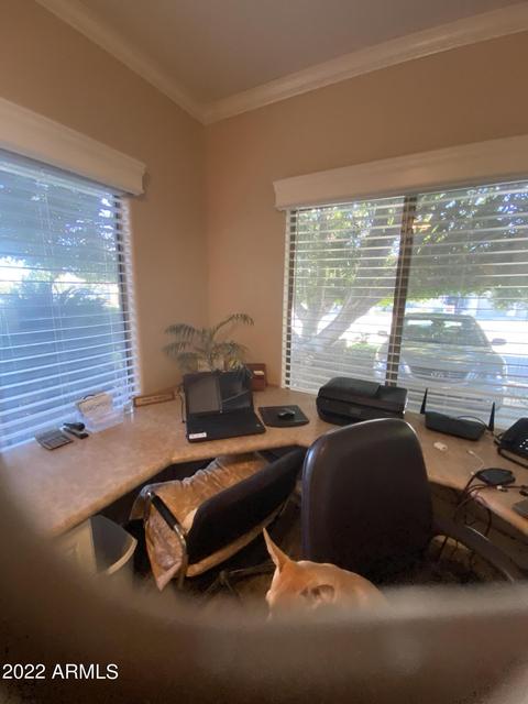 4260 Encanto St, Mesa, AZ 85205 photo 82
