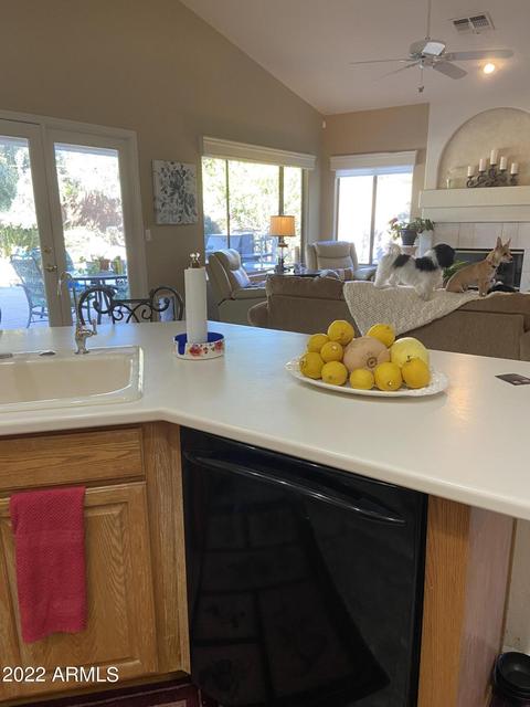 4260 Encanto St, Mesa, AZ 85205 photo 21