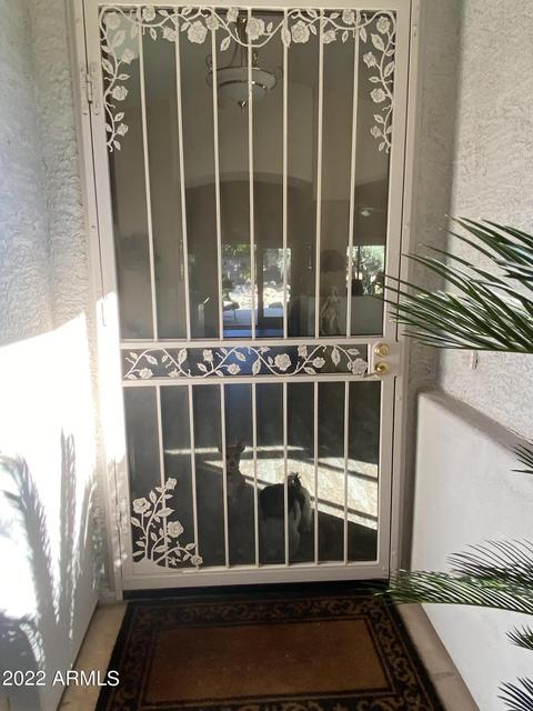 4260 Encanto St, Mesa, AZ 85205 photo 4