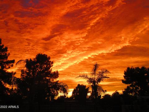 7259 Edgewood Ave, Mesa, AZ 85208 photo 35