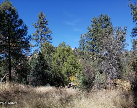 4 N 2 N Ike Clark Pkwy # R, Young, AZ 85554