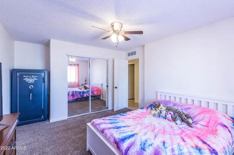 315 E 9th Dr, Mesa, AZ 85210 photo 22