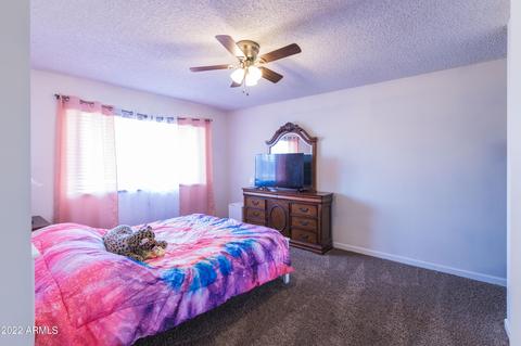 315 E 9th Dr, Mesa, AZ 85210 photo 21