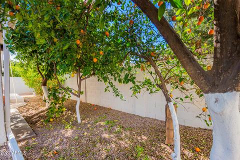 1146 E Jensen St, Mesa, AZ 85203 photo 50