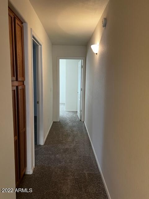 10328 E Jan Ave, Mesa, AZ 85209 photo 6