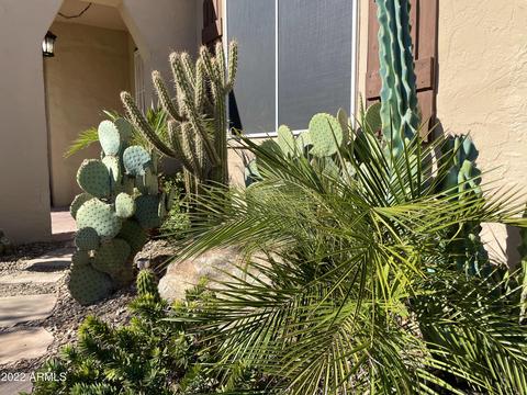 1422 E Roosevelt St, Phoenix, AZ 85006 photo 4