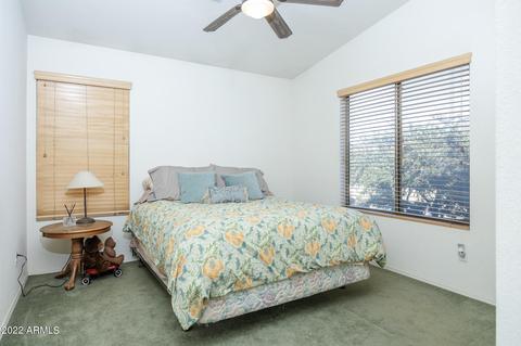 974 S Porter St, Gilbert, AZ 85296 photo 43
