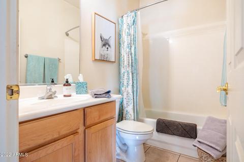 974 S Porter St, Gilbert, AZ 85296 photo 24