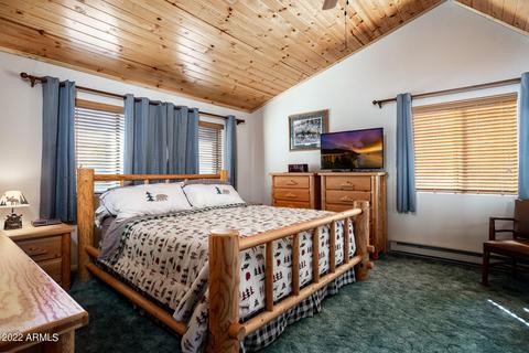 2840 Lodge Pole Rd, Overgaard, AZ 85933 photo 19