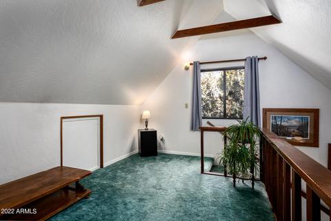 2840 Lodge Pole Rd, Overgaard, AZ 85933 photo 18