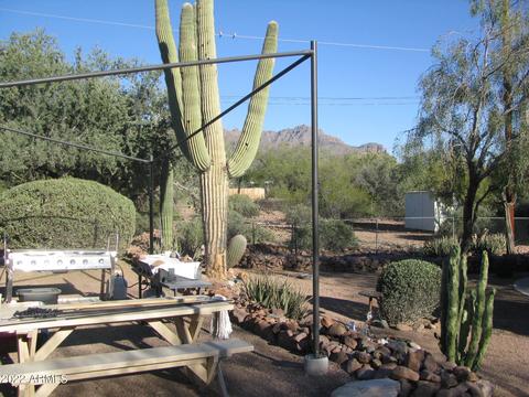 551 S Camino Alto Dr, Apache Junction, AZ 85119 photo 16