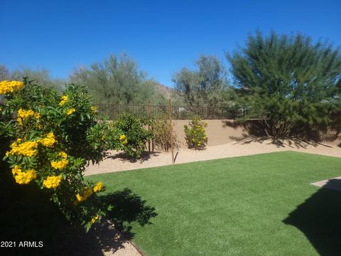 2342 E Lieber Pl, Phoenix, AZ 85024 photo 7