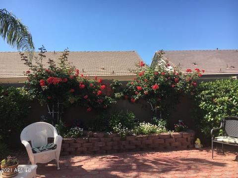 319 E Betsy Ln, Gilbert, AZ 85296 photo 39