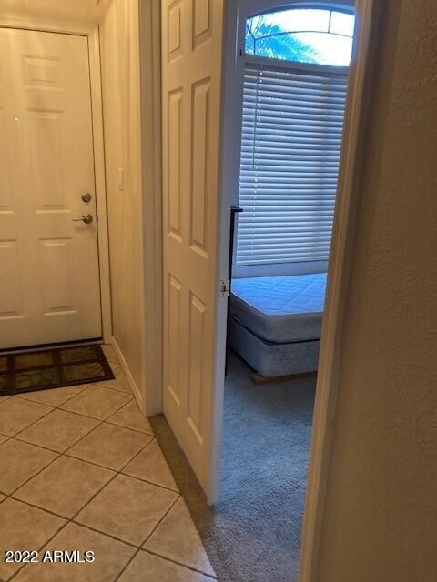 9841 E Forge Ave, Mesa, AZ 85208 photo 9