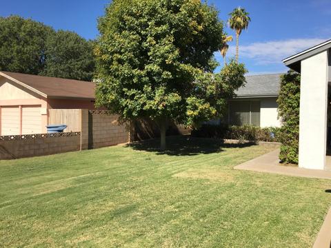 2010 E Yale Dr, Tempe, AZ 85283 photo 6