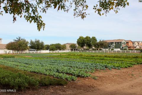 2700 E Valencia St, Gilbert, AZ 85296 photo 86