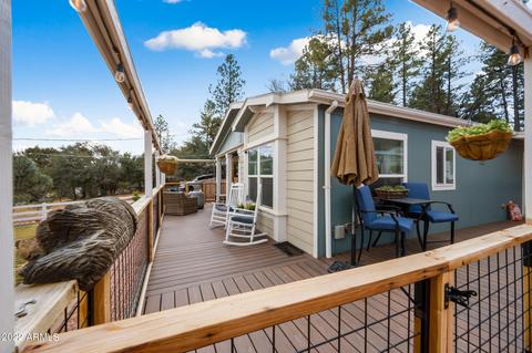 3784 N Anvil Rd, Pine, AZ 85544 photo 24