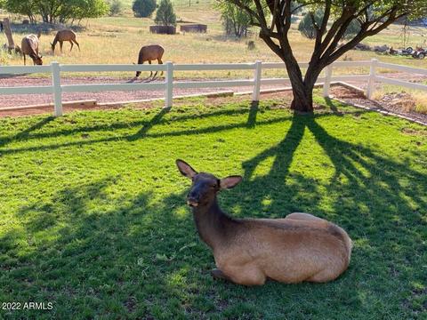 3784 N Anvil Rd, Pine, AZ 85544 photo 44