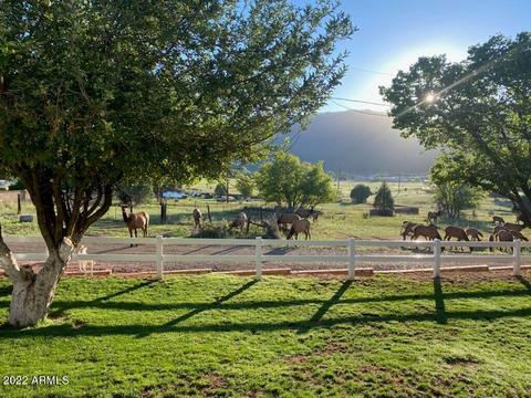 3784 N Anvil Rd, Pine, AZ 85544 photo 43
