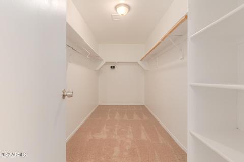 10704 E Bramble Ave, Mesa, AZ 85208 photo 26