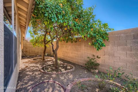 7454 E Knowles Ave, Mesa, AZ 85209 photo 19