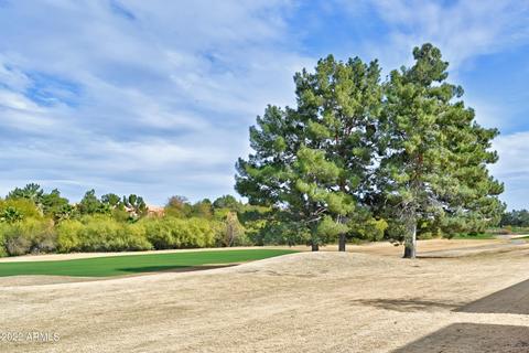 4052 E Paradise Dr, Phoenix, AZ 85028 photo 45