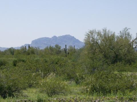 401 W Nn W Peoria Rd #-, Tonopah, AZ 85354