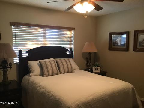 1413 S Palo Verde Dr, Apache Junction, AZ 85120 photo 6
