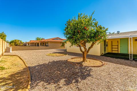 6240 Ensenada St, Mesa, AZ 85205 photo 6