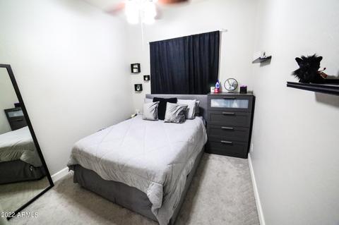 6846 E Portia St, Mesa, AZ 85207 photo 52