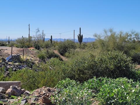 355 W Frontier St, Apache Junction, AZ 85120 photo 26
