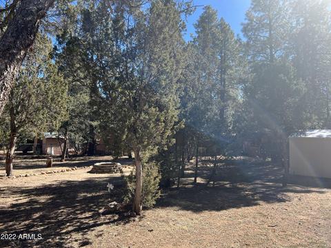 2149 Cottontail Rd, Overgaard, AZ 85933 photo 20