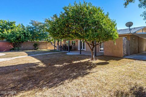 4234 E Redfield Rd, Phoenix, AZ 85032 photo 42