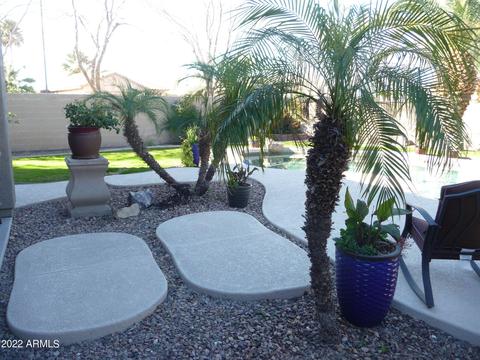 856 S Nielson Ct, Gilbert, AZ 85296 photo 24