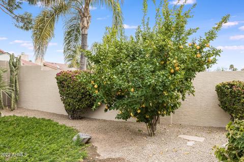 4518 E Monte Cristo Ave, Phoenix, AZ 85032 photo 35